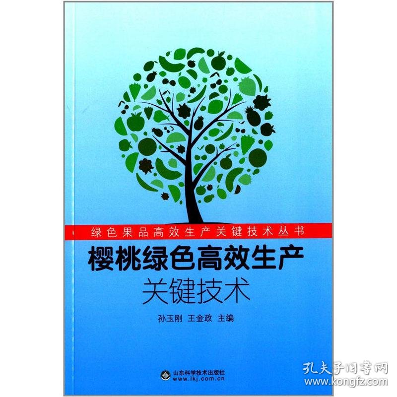 合肥软件开发:为何这里成为创业者的天堂?