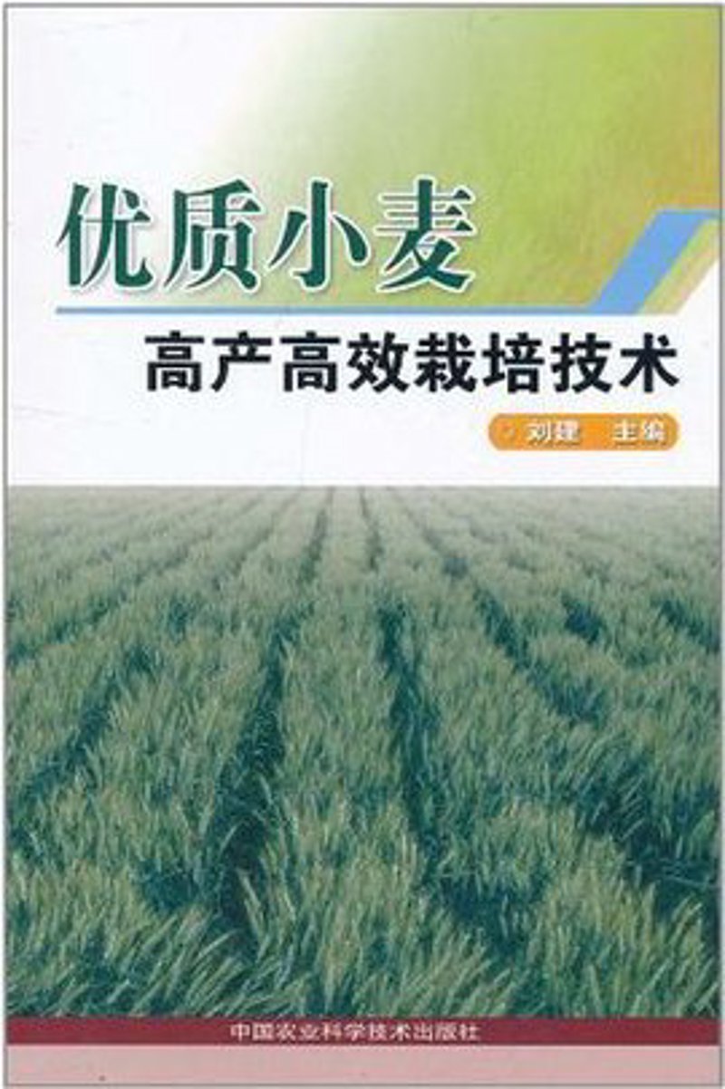 合肥APP开发:本地服务与技术优势的双轮驱动